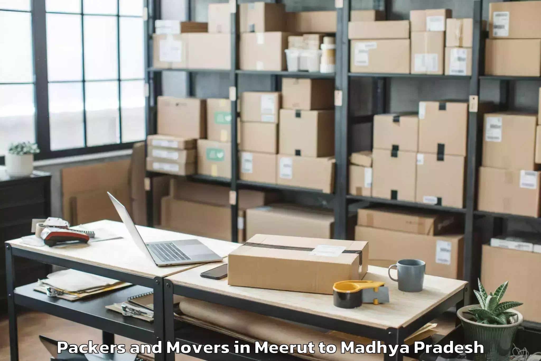 Quality Meerut to Dabra Pichhore Packers And Movers